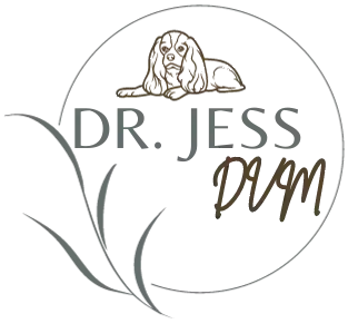 Dr. Jess, DVM